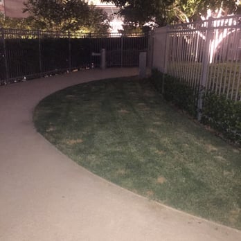 Vdara Dog Park - Pets Near Me - Las Vegas, Nevada Vdara Dog Park - Pets Near Me - Las Vegas, Nevada