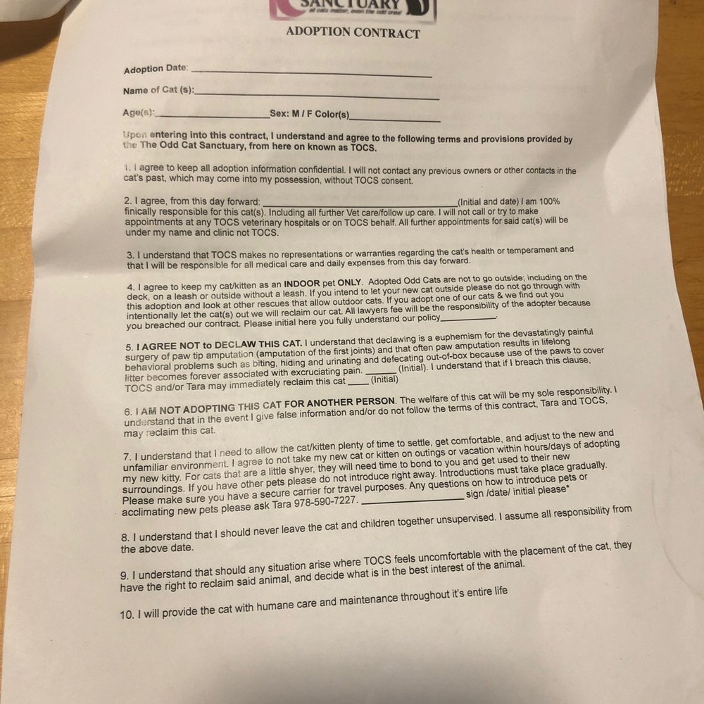 the adoption contract the adoption contract