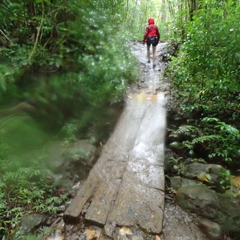 Pu'u Pia Trail - pretty rainy and wet.  FUN FUN FUN - Hiking Near Me - Honolulu, Hawaii