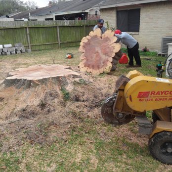 Artistic Tree Care - stump grinding - Tree Services Near Me Artistic Tree Care - stump grinding - Tree Services Near Me