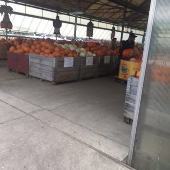 Block's Stand & Greenhouse - Farmers Market Near Me - Romulus, Michigan