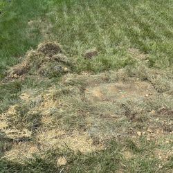 Cincinnati Bell - My neighbor's yard where they are supposedly done.