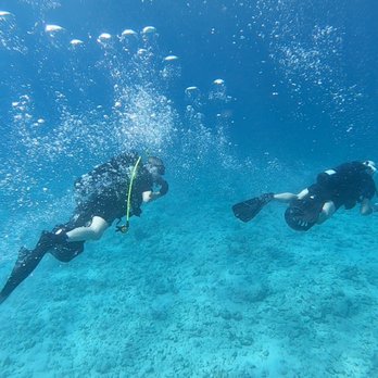 Trident Adventures - Using DPVs with Trident Adventures. - Dive Shops Near Me - Honolulu, Hawaii Trident Adventures - Using DPVs with Trident Adventures. - Dive Shops Near Me - Honolulu, Hawaii