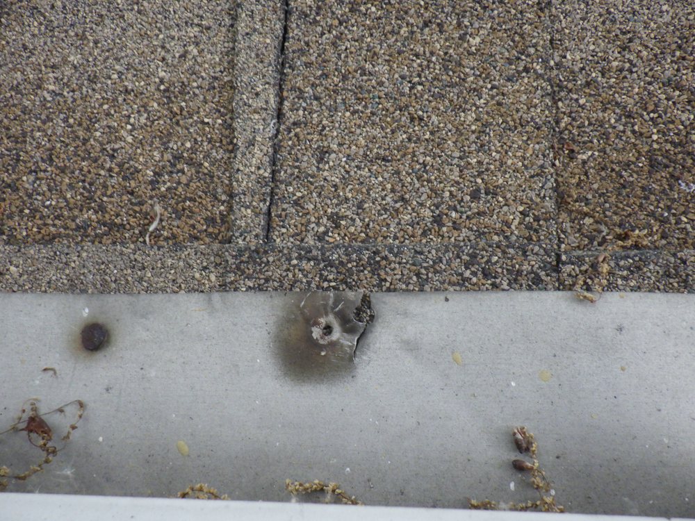 Timely Home Inspection - mold inspector in Highland Park, NJ