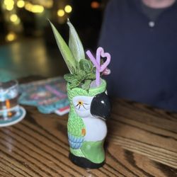 Hidden Harbor - Toucan Tango
