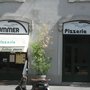 Photo of Pizzeria Summer
