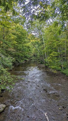 Clifton Gorge State Nature Preserve by null