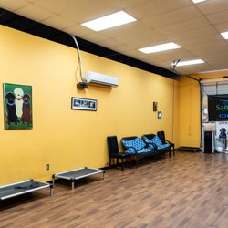 San Antonio Dog Training