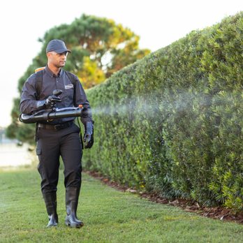 American Pest Management - Pest Control Near Me - Overland, Kansas American Pest Management - Pest Control Near Me - Overland, Kansas