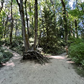 Tryon Creek State Park - Tryon Creek State Natural Area - Parks Near Me - Portland, Oregon Tryon Creek State Park - Tryon Creek State Natural Area - Parks Near Me - Portland, Oregon