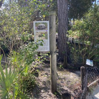Tibet-Butler Preserve - Parks Near Me - Orlando, Florida Tibet-Butler Preserve - Parks Near Me - Orlando, Florida
