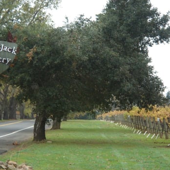 PlumpJack Estate Winery - Wine Tasting Room Near Me - Napa, California