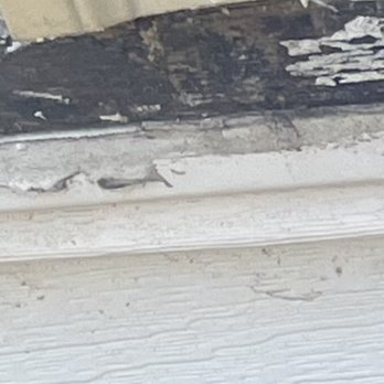 Home HAB - a bird perched on a window sill - General Contractors Near Me Home HAB - a bird perched on a window sill - General Contractors Near Me