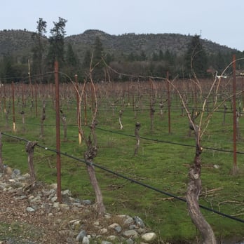 LongSword Vineyard - Wineries Near Me - Jacksonville, Oregon