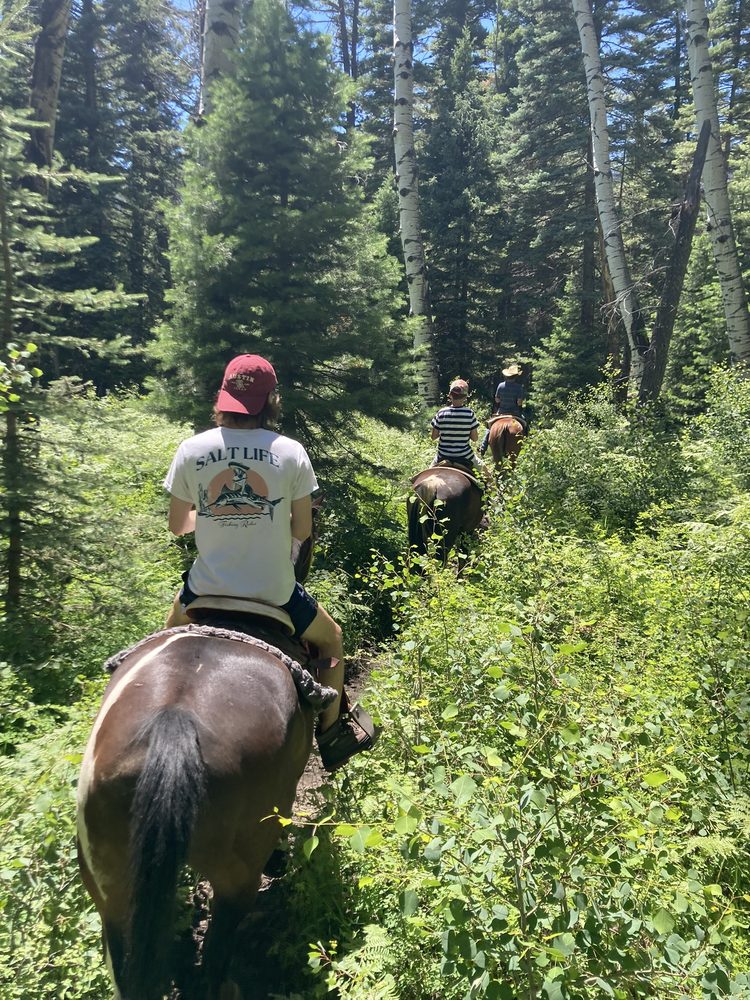 ELK HEART OUTFITTERS Updated September 2024 Pagosa Springs, Colorado Horseback Riding