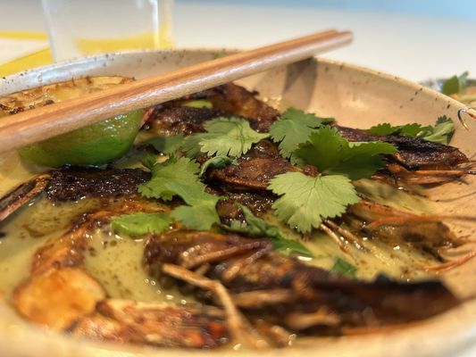 Coro Restaurant by null