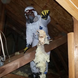 Atticrawl - Dead critters and animals found in this big Attic (1)