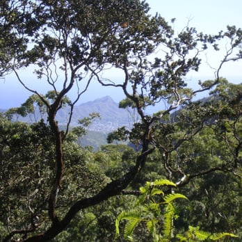Aihualama Trail - View of Diamond Head - Hiking Near Me - Honolulu, Hawaii
