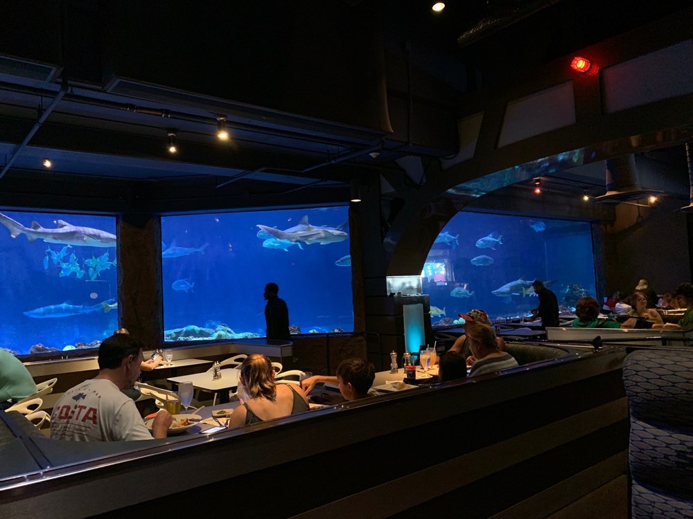 Sharks Underwater Grill