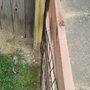 Photo of Redwood Fencing
