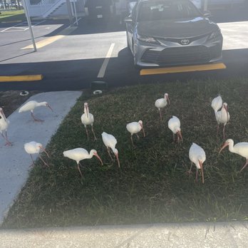 State of Florida - Local Flavor Near Me - Century, Florida