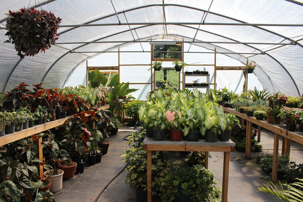 MOSSY CORNER NURSERY & COUNTRY MARKET Updated August 2024 3131 Hwy