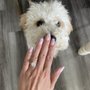 Photo of Elite Nails