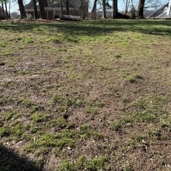 Turf Managers