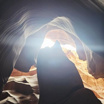 Deer Spring Canyon Tours - A picture in slot canyon. - Tours Near Me