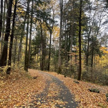 Cosby Campground - Loop - Recreation Centers Near Me - Hartford, Tennessee