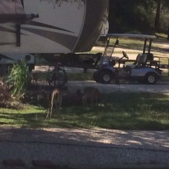 Summit Vacation and RV Resort - Vacation Rentals Near Me - New Braunfels, Texas Summit Vacation and RV Resort - Vacation Rentals Near Me - New Braunfels, Texas