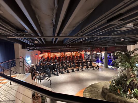 JOHN REED Fitness by null