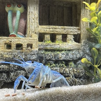 Sierra Fish & Pets - Local Fish Stores Near Me - Renton, Washington