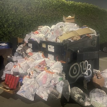 The Madrid Apartments - the dumpster behind my apartment. probably why there were so many bugs on site. - Apartments Near Me - Van Nuys, California The Madrid Apartments - the dumpster behind my apartment. probably why there were so many bugs on site. - Apartments Near Me - Van Nuys, California