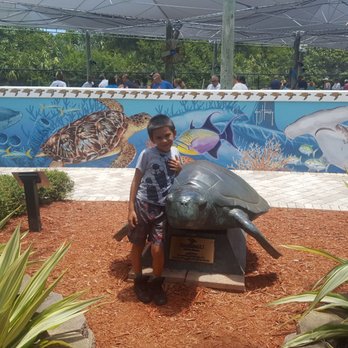 Loggerhead Marinelife Center - Community Service/Non-Profit Near Me - Juno Beach, Florida Loggerhead Marinelife Center - Community Service/Non-Profit Near Me - Juno Beach, Florida