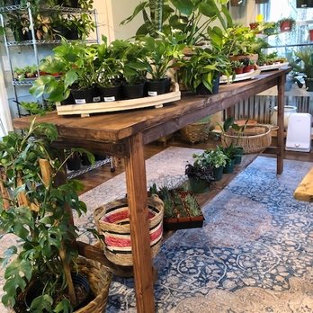 Hidden Seed Plant - Nurseries & Gardening Near Me - Spring Hill, Tennessee