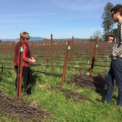 Small Vines Viticulture - Vineyards are organic and maintained in the traditional French style.