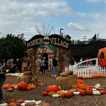 MrBones - Attraction Farms Near Me - Culver City, California MrBones - Attraction Farms Near Me - Culver City, California