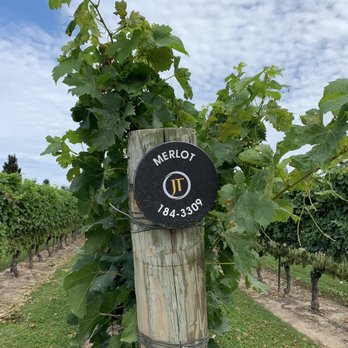 Jackson-Triggs Winery - Wineries Near Me - Niagara On the Lake, Ontario Jackson-Triggs Winery - Wineries Near Me - Niagara On the Lake, Ontario