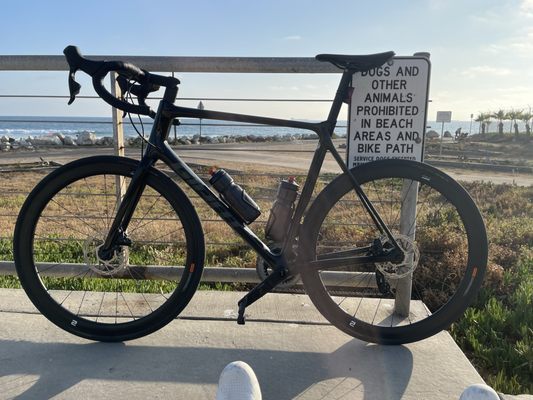 Beverly Hills Bike Shop🚲 by null