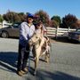 Photo of El Pony Charro