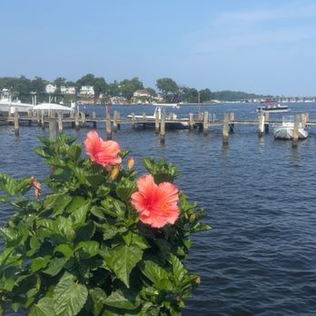 Mike's Bar & Crab House - Seafood Near Me - Riva, Maryland Mike's Bar & Crab House - Seafood Near Me - Riva, Maryland