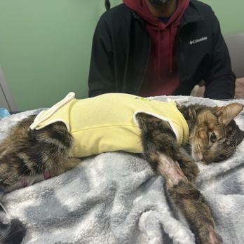 Verg - During a visit with Coco. - Emergency Pet Hospital Near Me - Brooklyn, New York