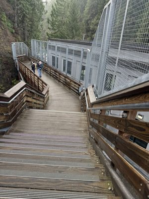 Snoqualmie Falls by null