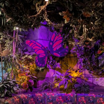 Rainforest Cafe - American Near Me - San Antonio, Texas