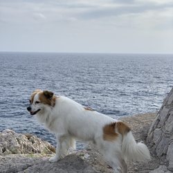 Faro di Punta Carena