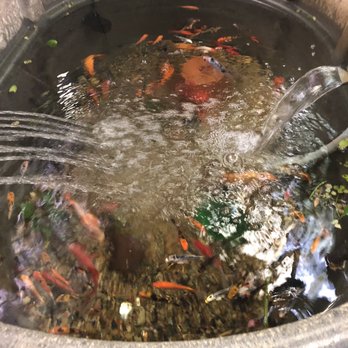 Tropical Treasures - Local Fish Stores Near Me - Phoenix, Arizona