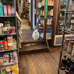 Ok Natural Foods - cute cat!!