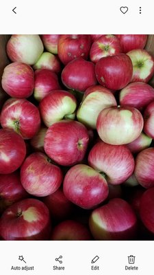 Midway Farms | Fresh Goods | Albany by null