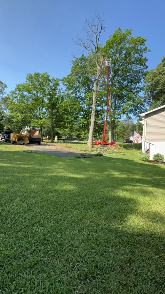 BROWN Updated October 2024 Brandywine, Maryland Tree Services